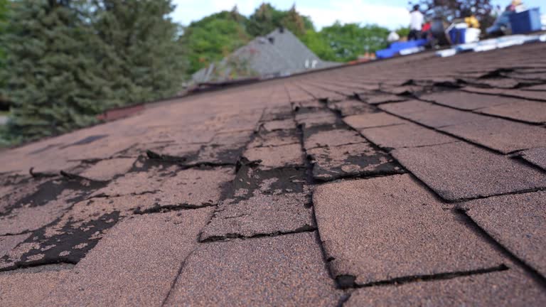 Best 4 Ply Roofing  in Homeacre Lyndora, PA